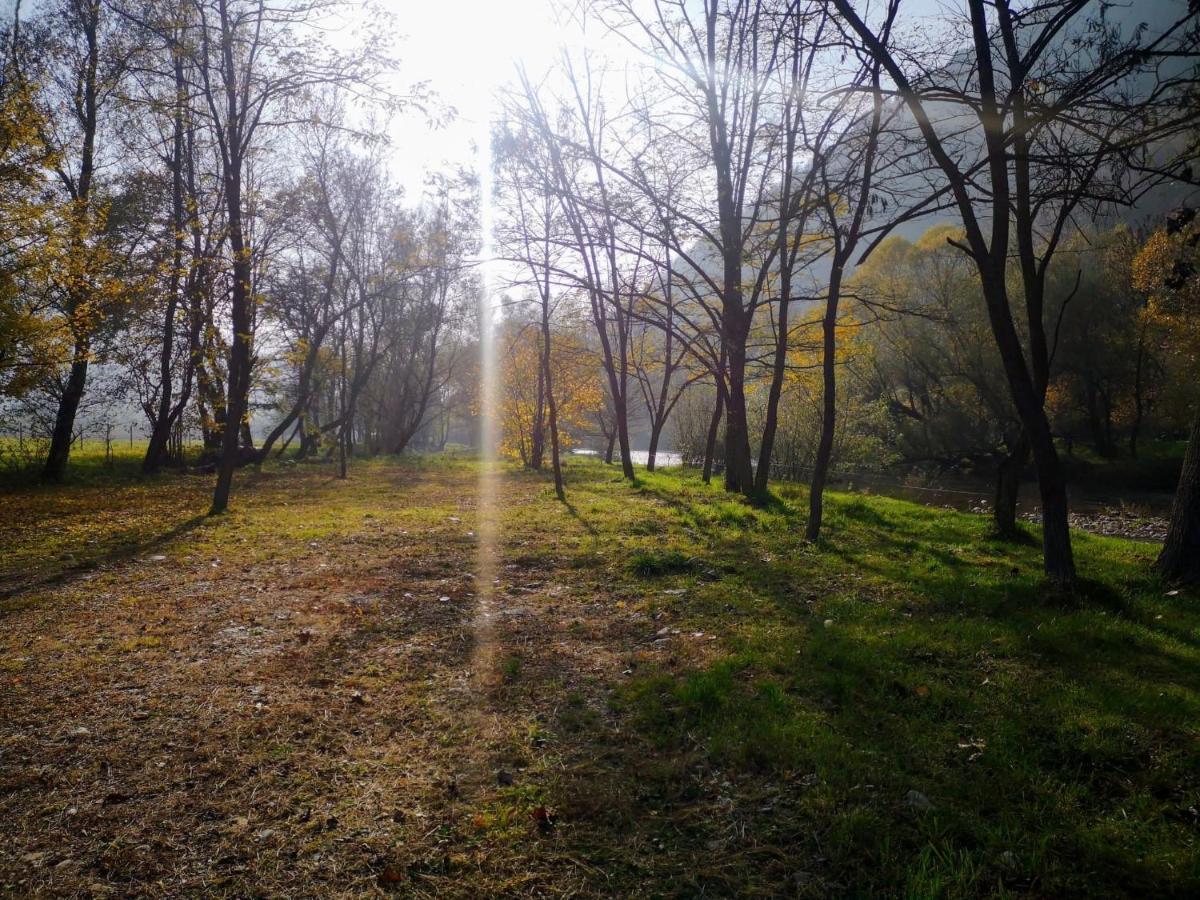 Casute Zavoi Bulz Villa Bagian luar foto