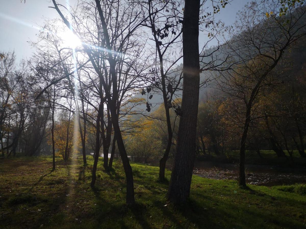 Casute Zavoi Bulz Villa Bagian luar foto