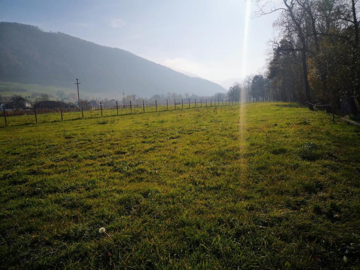 Casute Zavoi Bulz Villa Bagian luar foto