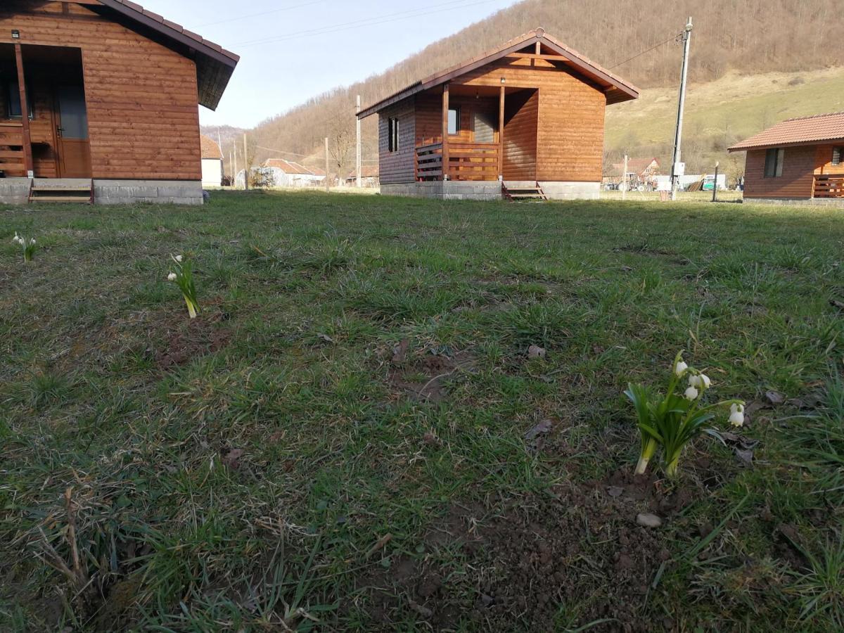 Casute Zavoi Bulz Villa Bagian luar foto
