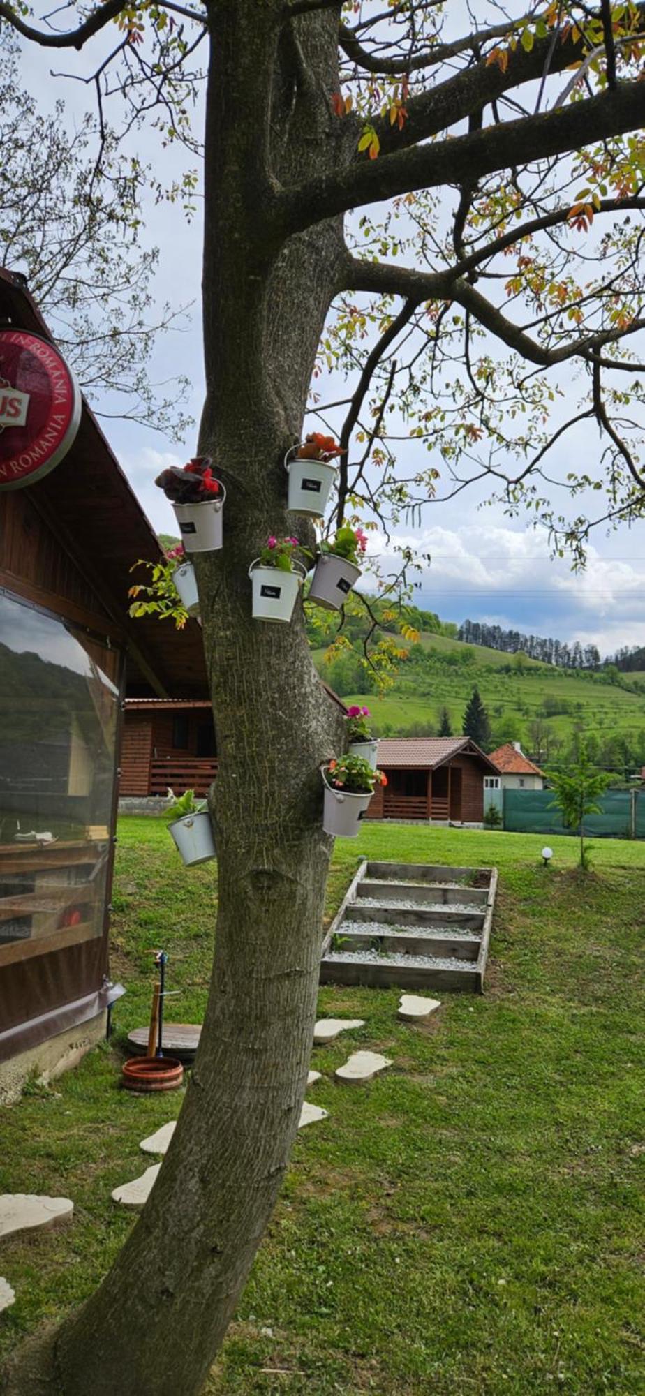 Casute Zavoi Bulz Villa Bagian luar foto