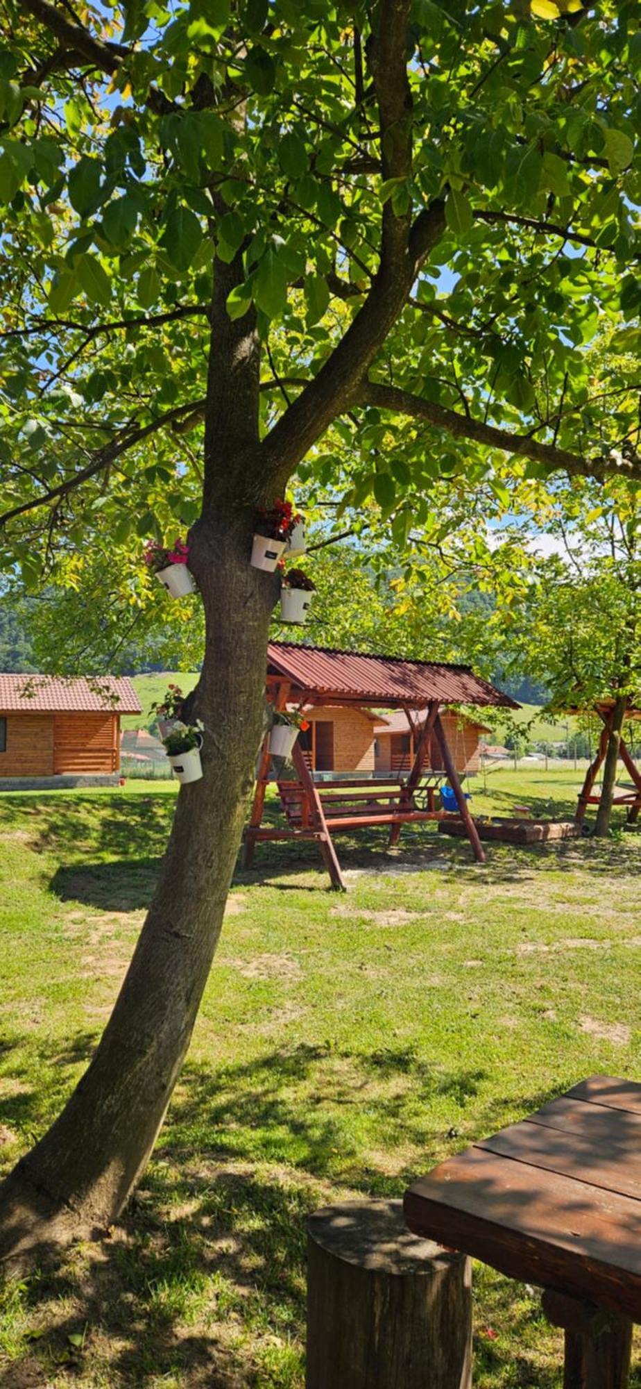 Casute Zavoi Bulz Villa Bagian luar foto